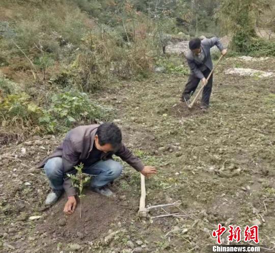 陇南市有多少人口_陇南市武都区宾馆美女(2)