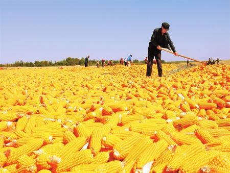 栉风沐雨铸就辉煌业绩　砥砺奋进再谱崭新篇章 ——甘肃高台县改革开放40年发展综述