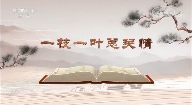 《平“语”近人——习近平总书记用典》第一集：一枝一叶总关情