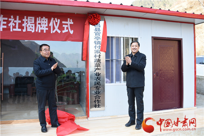 "在分红大会上刚刚从陇南市委副书记,市长崔景瑜手