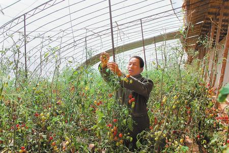 聚焦“三大片区” 下足“绣花”功夫 ——白银景泰县脱贫攻坚工作侧记