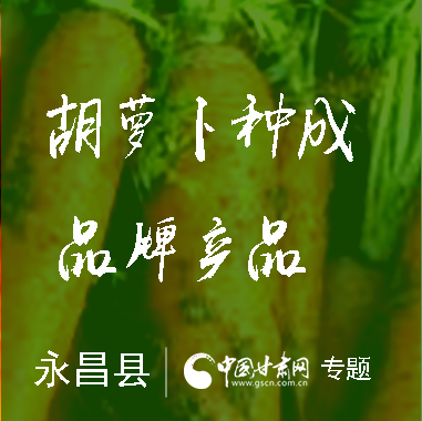 每亩收入三四千 金昌永昌县胡萝卜种成品牌产品