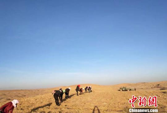 武威立法推动“防沙治沙”