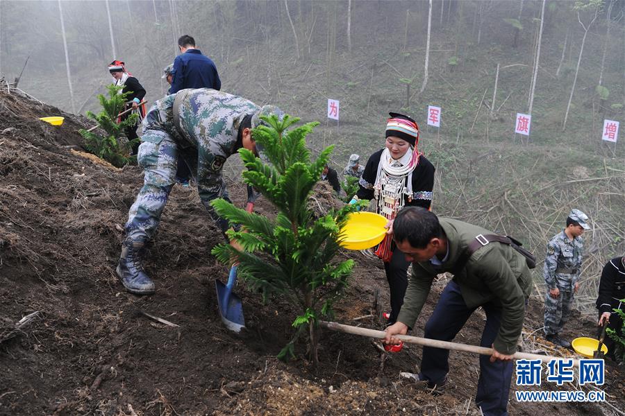 (图文互动)(6)和平年代,离死神最近的人——南部战区陆军云南扫雷大队边境扫雷排爆记事