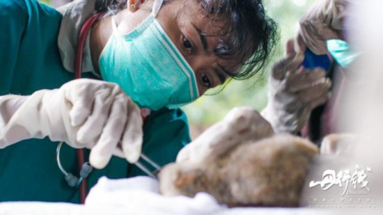 《丹行线》第三期开播 朱丹做手术抢救野生懒猴