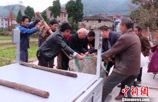 浙江临海发现明朝紫阳真人张伯端化身处石碑