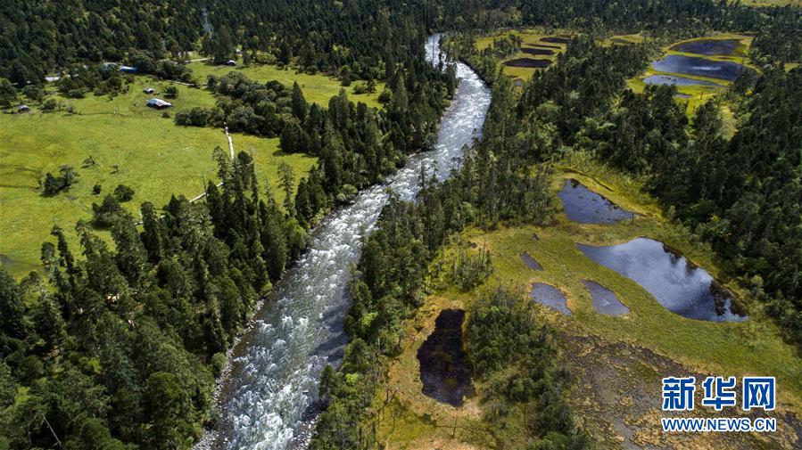 西藏米林县的绿色富裕路（最新发布）