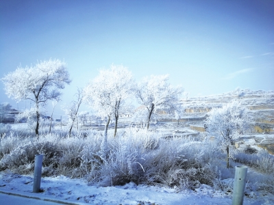 兰州市榆中北山地区出现雾凇奇观（图）