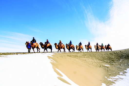 大漠雪韵醉游人（图）