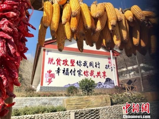 近年来,付家村的村容村貌发生了很大变化,图为规划后的付家村一隅。(资料图) 闫姣 摄 近年来,付家村的村容村貌发生了很大变化,图为规划后的付家村一隅。(资料图) 闫姣 摄