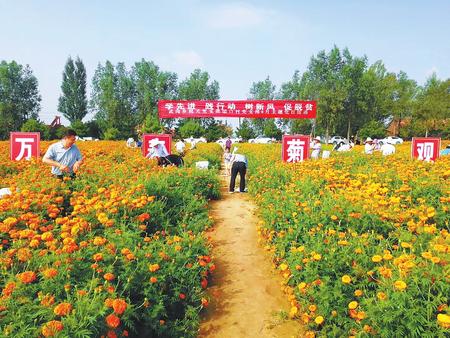 对标提质强根基 ——庆阳镇原县推进党支部建设标准化侧记