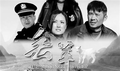 华表奖获奖电影《丢羊》导演汪小平:我们有责