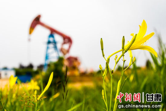 以能源化工为主导的工业经济是庆阳发展的重要支撑。图为庆阳石油采油二厂井场。 以能源化工为主导的工业经济是庆阳发展的重要支撑。图为庆阳石油采油二厂井场。