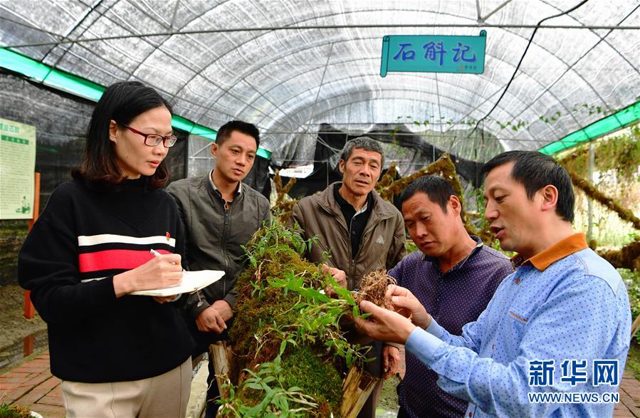 (新华全媒头条·图文互动)(3)片面从严治党启新局——写在十九届中间纪委三次全会举行之际