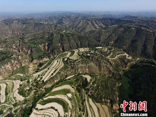 “再造一个子午岭”工程初见成效。 (资料图) 杨艳敏 摄 “再造一个子午岭”工程初见成效。 (资料图) 杨艳敏 摄