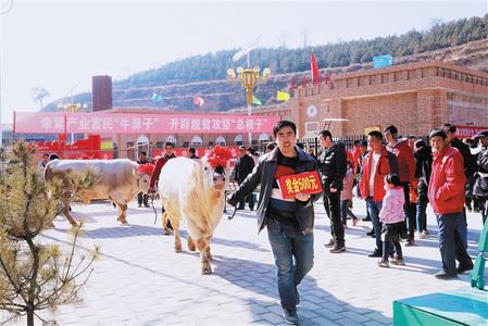 庆阳市庆城县桐川镇举办首届产业富民“赛牛、赛羊大会”