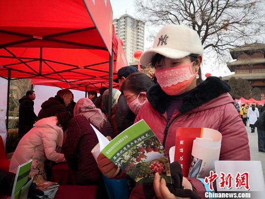 图为民众看免费领到的苹果栽植相关书籍。 魏建军 摄 图为民众看免费领到的苹果栽植相关书籍。 魏建军 摄