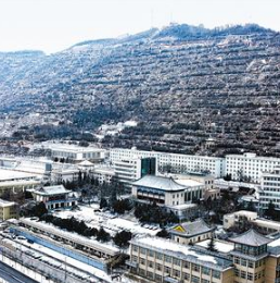 时逢“大寒” 雪降陇原