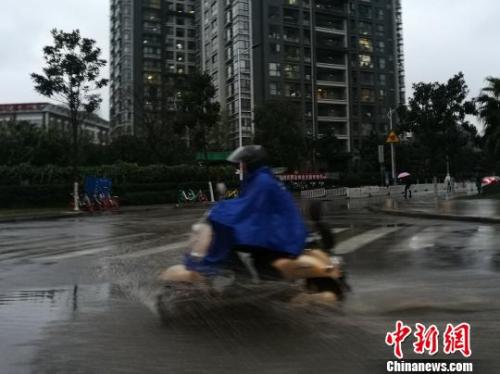 市民在雨中骑行。胡远航 摄 点击进入下一页