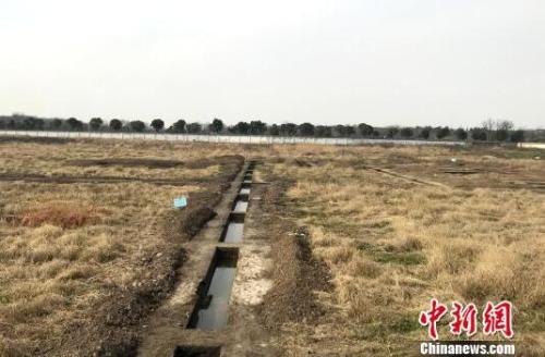 图为扬州桑树脚地块考古工地现场。 崔佳明 摄 点击进入下一页