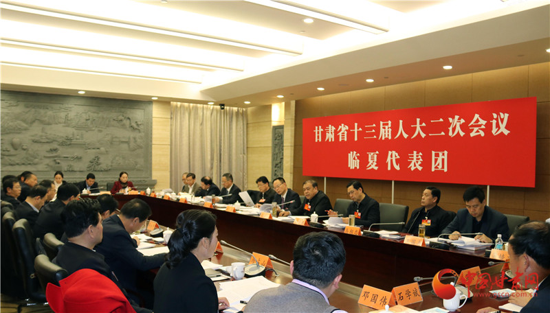 肃省第十三届人大二次会议各代表团分组审议《