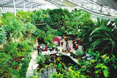 金昌市金川植物园成当地一张旅游名片（图）