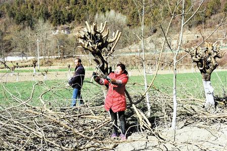 图说甘肃丨人勤春来早 备耕务工忙（图）