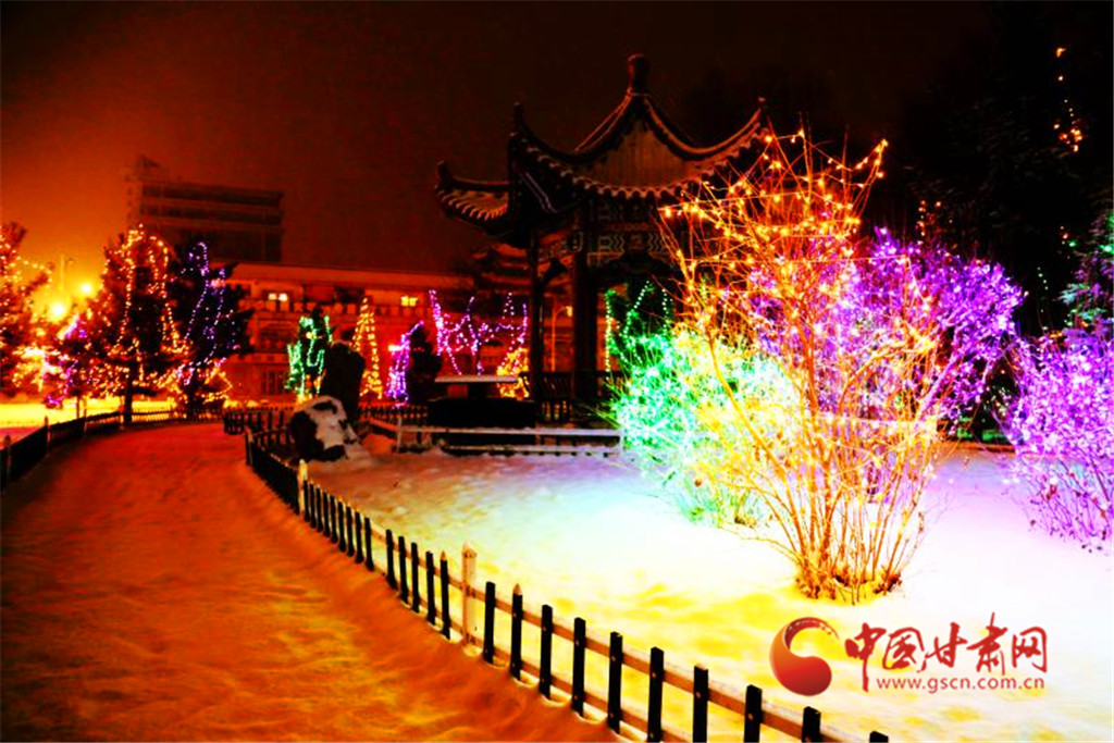 图为雪中岷县人民公园夜景.后斌杰 摄