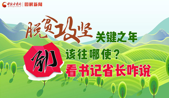 图解|脱贫攻坚关键之年劲该往哪使？看书记省长咋说