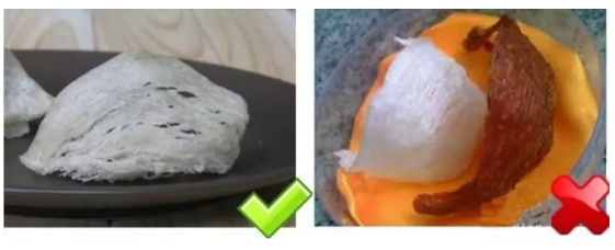 如何打造好燕窝 37大节点控制锁牢营养
