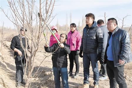 酒泉市敦煌：新一年春耕开始 人们走进田间地头