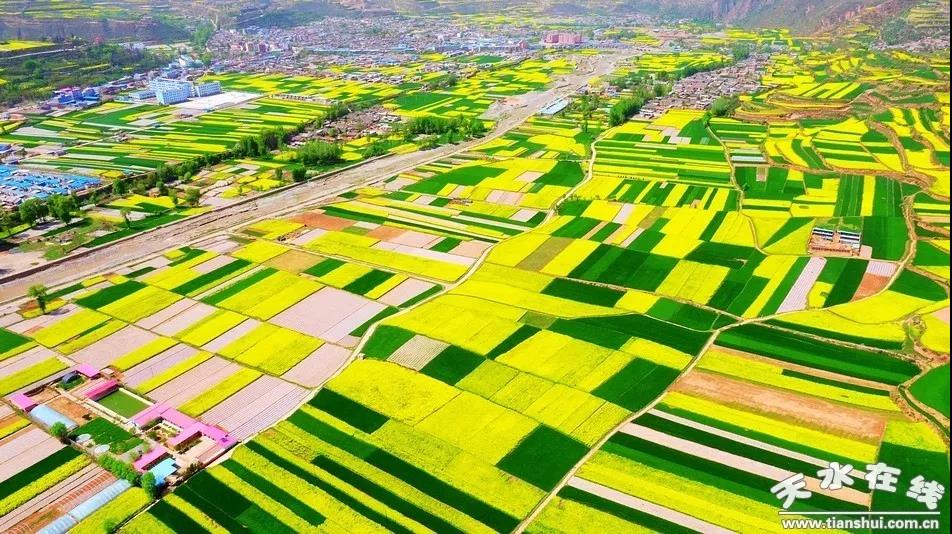 最全攻略：春到天水，游国家A级景区，看百花齐放，食人间美味，住星级饭店！