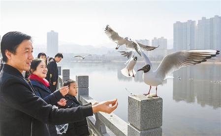 甘肃永靖美景引客来（图）