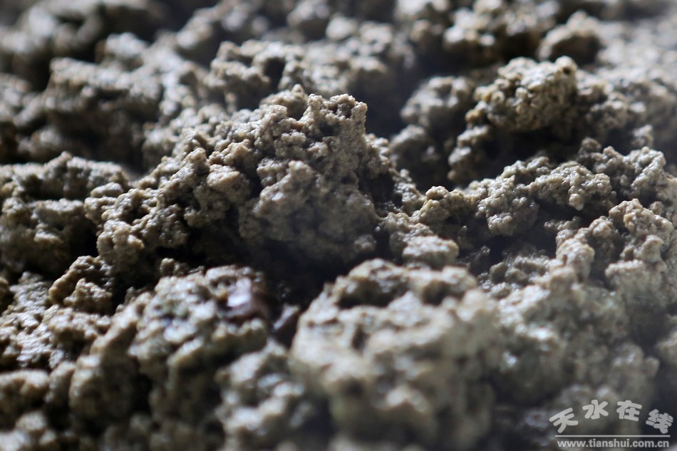 天水麻腐饼的制作过程(图)