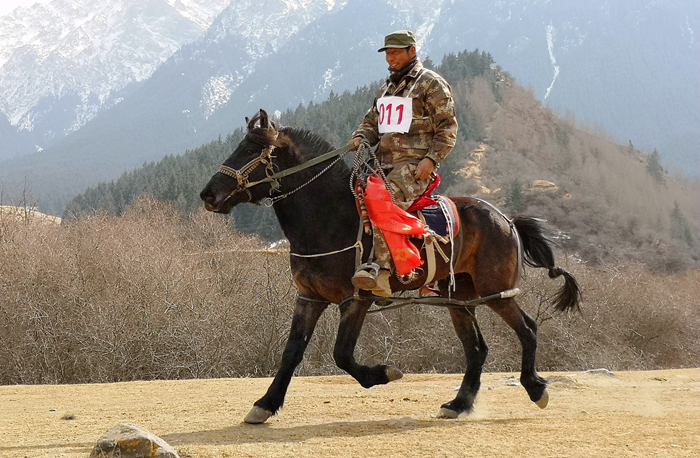 张掖肃南：祁连山下举办“追梦”赛马