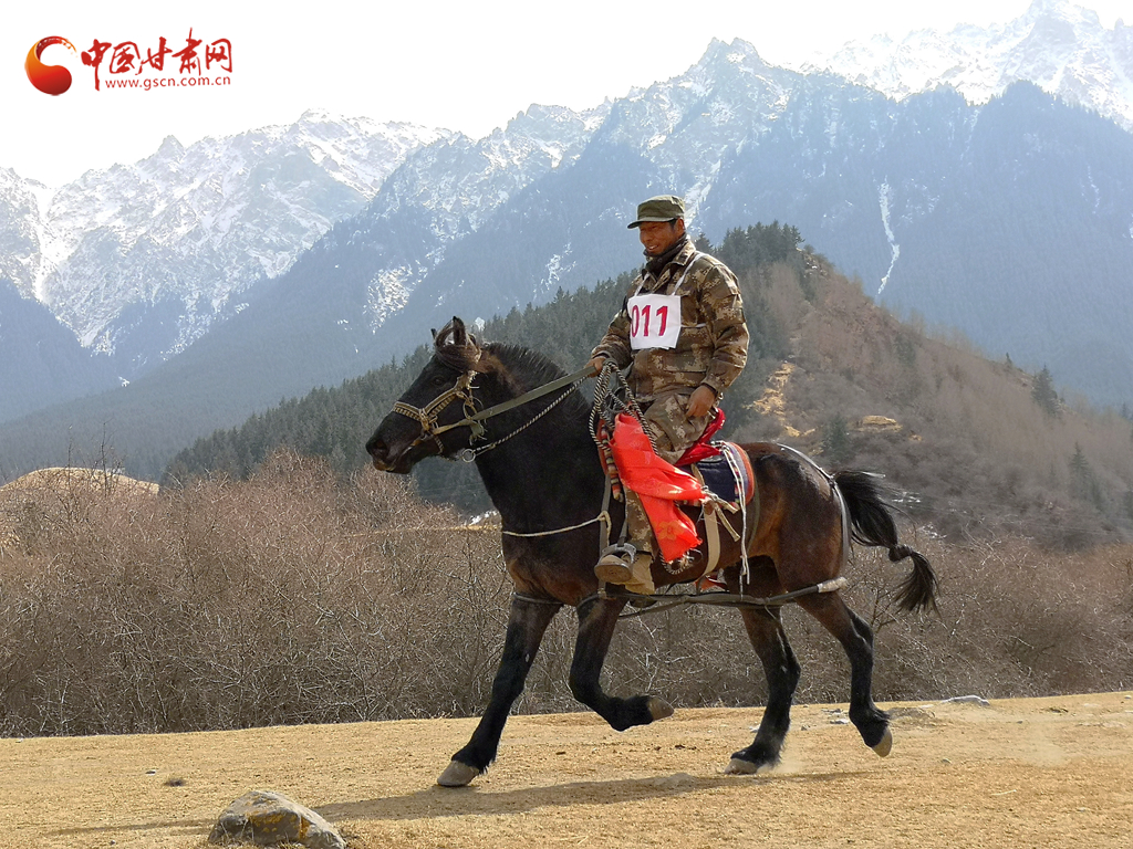 张掖肃南:祁连山下举办追梦赛马