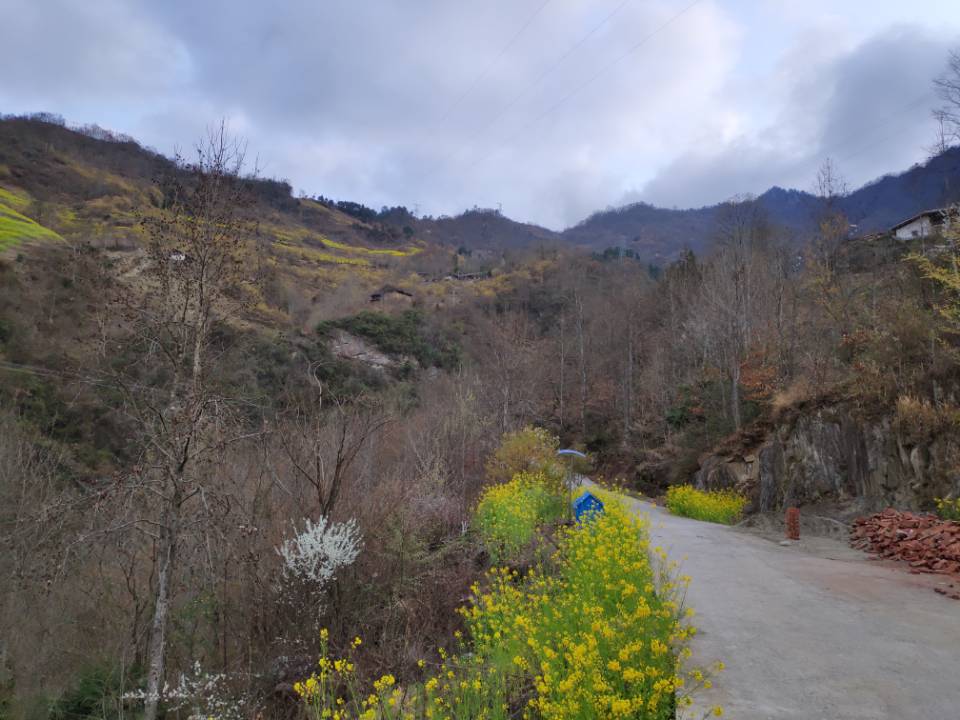 陇南文县：“山林客栈”美了乡村富了百姓（组图）
