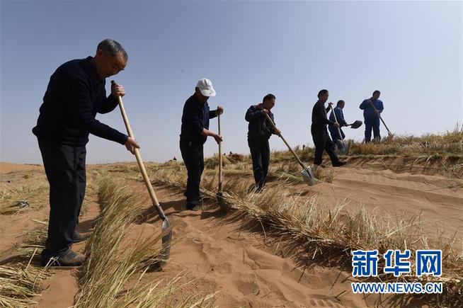 （新华全媒头条·图文互动）（3）八步沙·六老汉·三代人