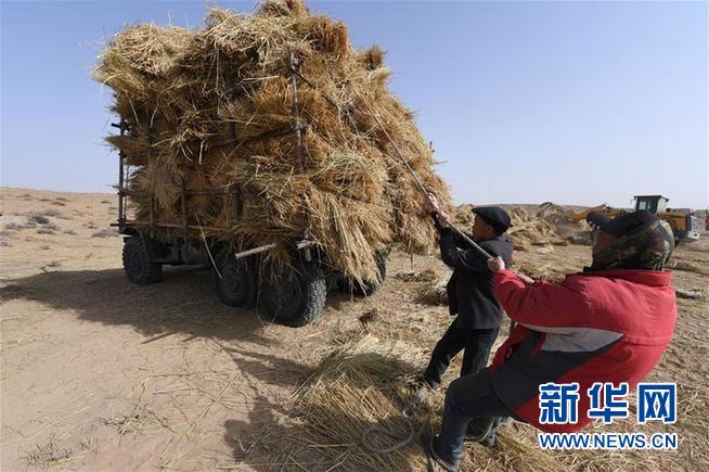 （新华全媒头条·图文互动）（10）八步沙·六老汉·三代人