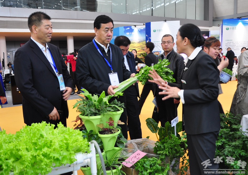 天水市组团参展2019西安丝绸之路国际旅游博览会(图)