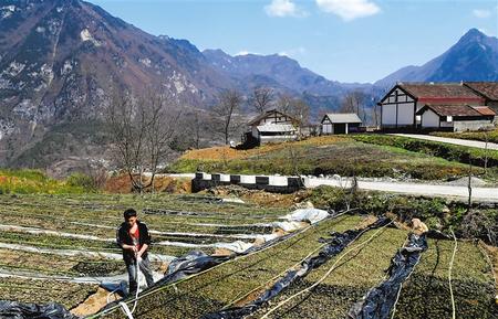 【脱贫攻坚影像志】大山深处富民曲