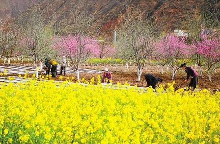 陇原春耕忙（组图）