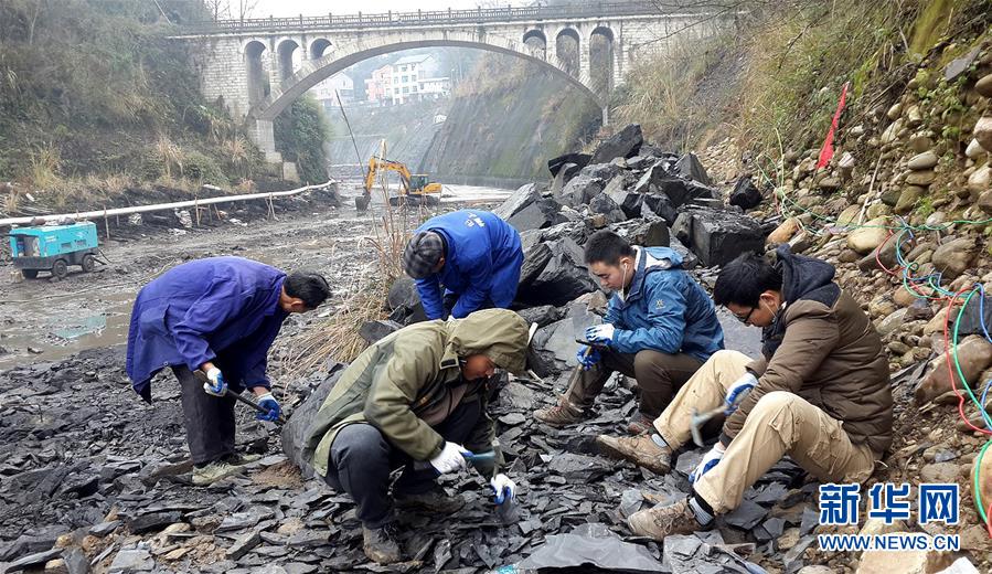 (新华全媒头条·图文互动)(1)探寻5亿年前“生命大爆炸”之奥秘——中国科学家发现寒武纪“化石宝库”清江生物群纪实