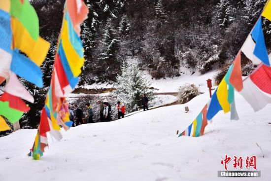 图为白雪覆盖。 武雪峰 摄 图为白雪覆盖。 武雪峰 摄