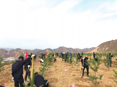 兰州：植树育草共建绿色安宁