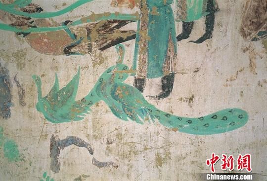 图为莫高窟332窟中绘于初唐的“双孔雀” 。敦煌研究院供图 图为莫高窟332窟中绘于初唐的“双孔雀” 。敦煌研究院供图