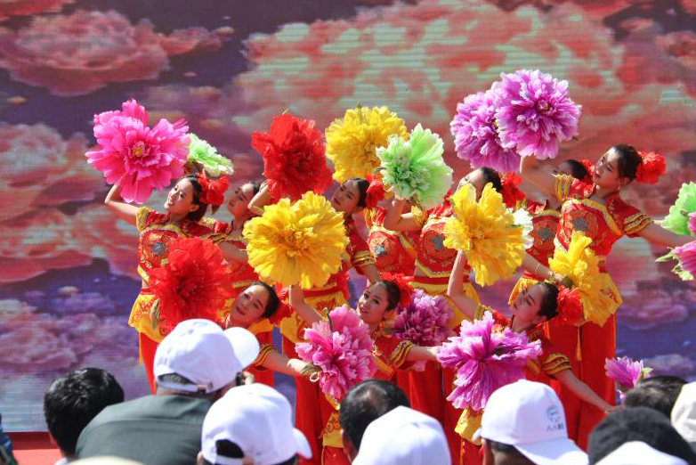  临夏州和政县第四届梨花节开幕 “赏花经济”助推全域旅游（组图）