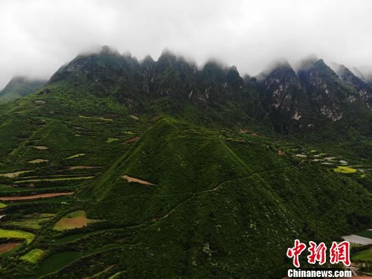 贵清山在宋、明时就驰名陇上,这里山深林密,雨量充沛,有利于多种动植物繁殖生长。仙姿神韵,景观独物,是一个天然的植物园和动物园。 杨艳敏 摄 贵清山在宋、明时就驰名陇上,这里山深林密,雨量充沛,有利于多种动植物繁殖生长。仙姿神韵,景观独物,是一个天然的植物园和动物园。 杨艳敏 摄