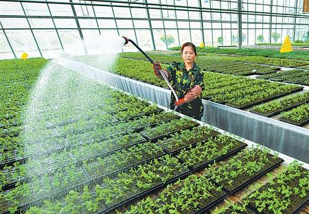 当蔬菜遇上科技——天水武山县蔬菜产业提质增效综述（图）