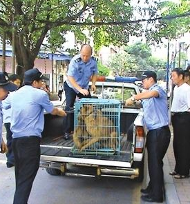 兰州住建局开展集中整治小区违规违法养犬行动